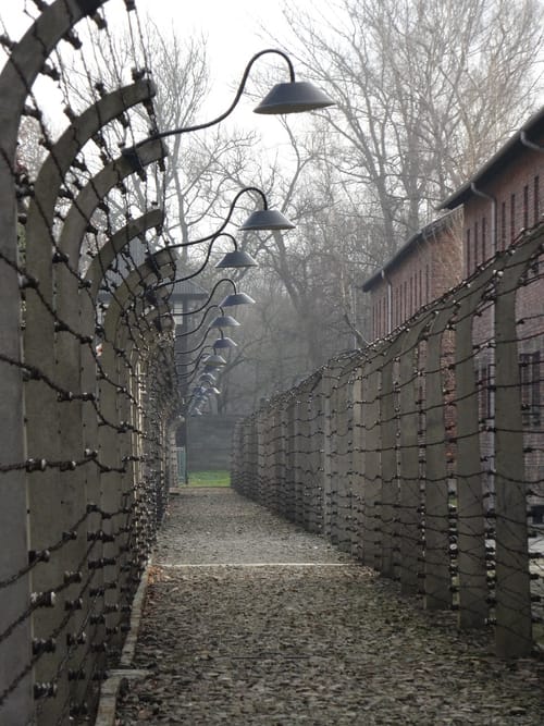 Auschwitz Kampı’ndan Kaçmak Mümkün Müydü?